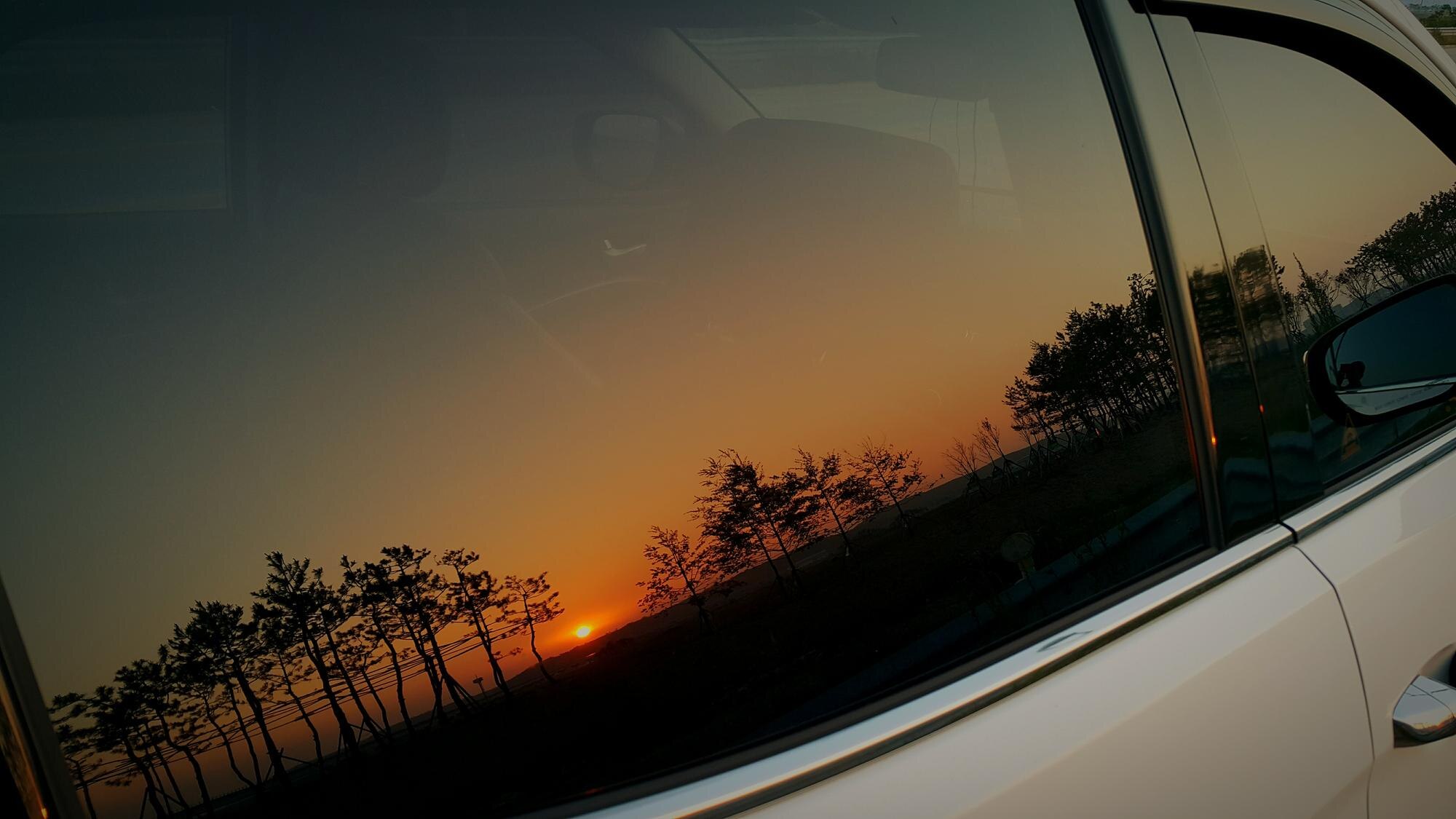 Sunset and silhouetted trees mirrored in the tinted rear window of a white vehicle.