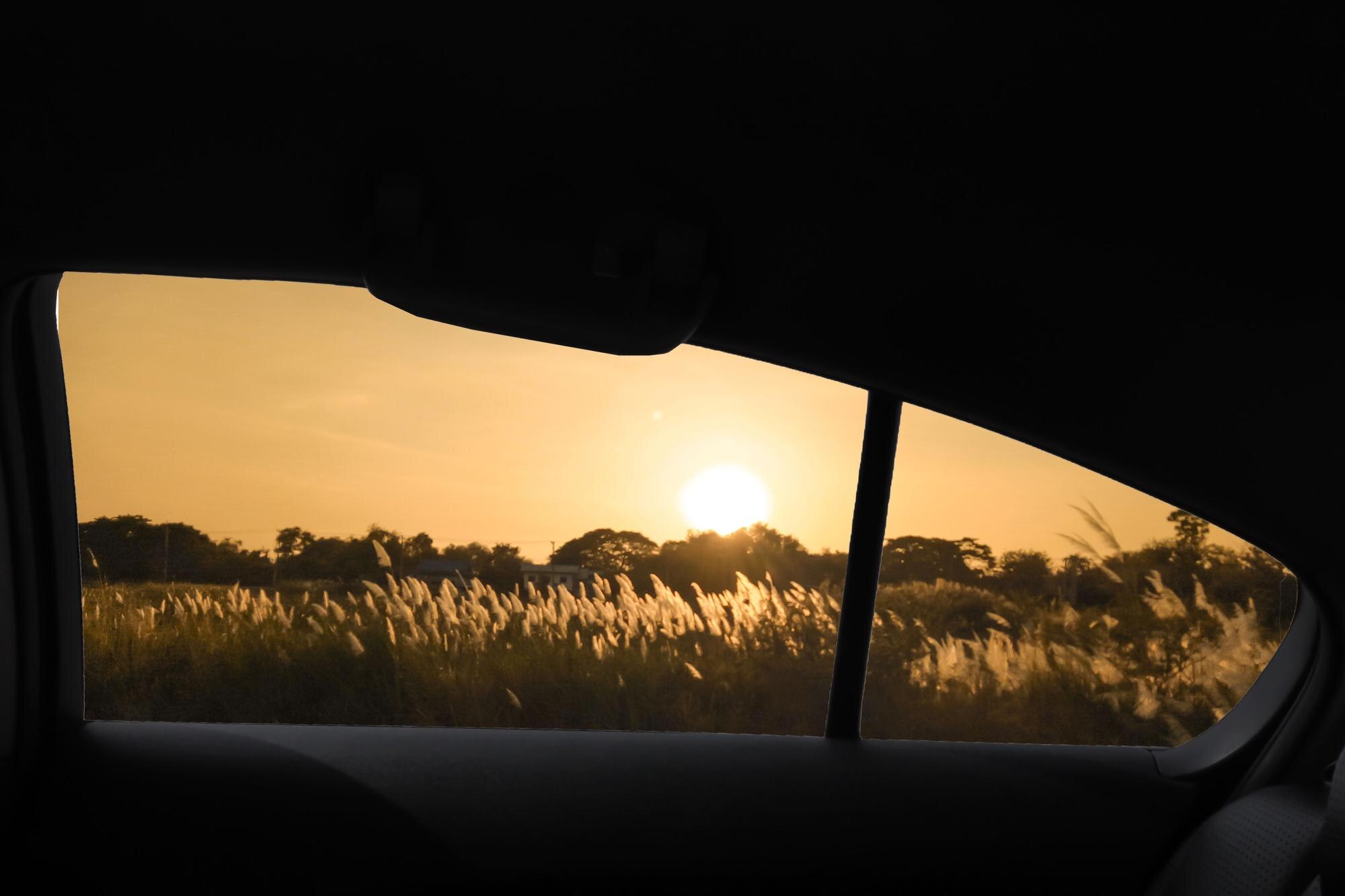 View from inside a car looking through the side windows at a sunlit field of tall grass.